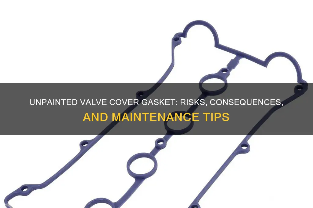 Unpainted Valve Cover Gasket: Risks, Consequences, And Maintenance Tips ...
