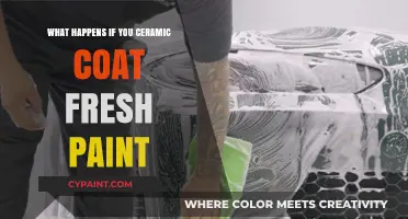 Ceramic Coating on Fresh Paint: Benefits, Risks, and Best Practices