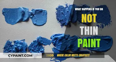 Skipping Paint Thinning: Consequences for Texture, Coverage, and Finish