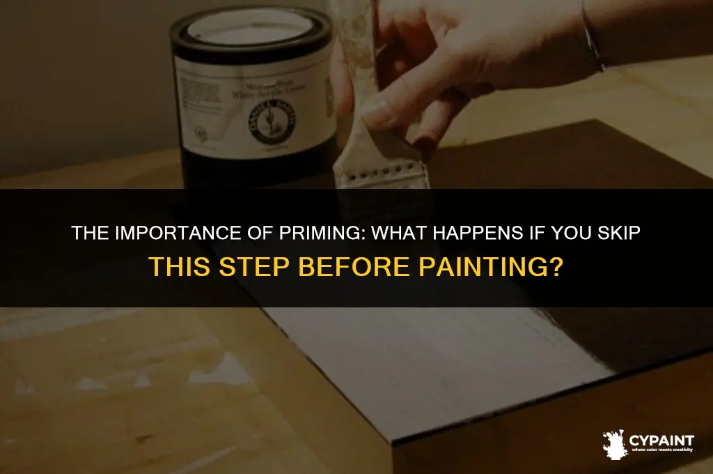 what happens if you don prime a board before painting
