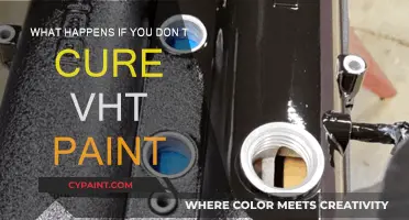The Dangers of Not Curing VHT Paint