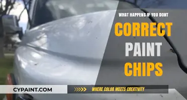 Ignoring Paint Chips: Risks of Neglecting Minor Car Damage Over Time
