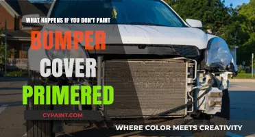 Primerless Bumper Cover: A Recipe for Disaster or a Myth?