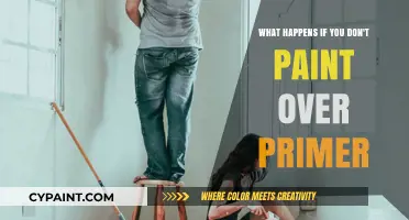 Primer Left Unpainted: What Could Go Wrong?