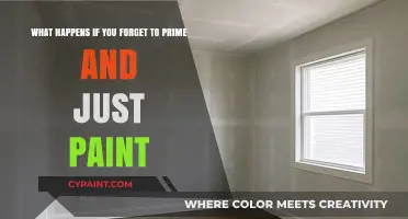 Painting Without Priming: Risks and Consequences for Your Walls