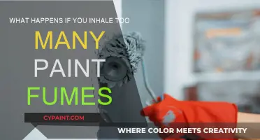 Paint Fumes: Inhaling Danger and Health Risks