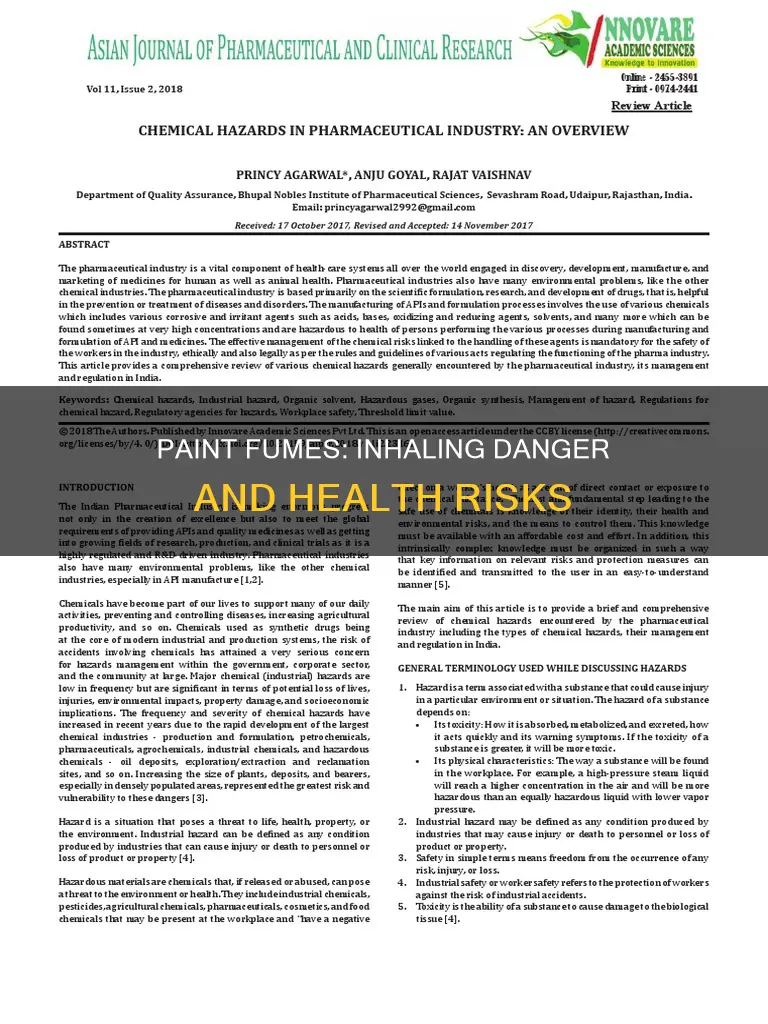what happens if you inhale too many paint fumes