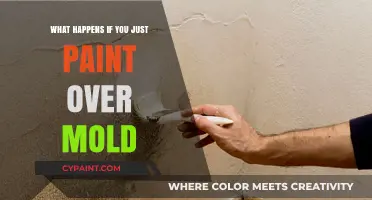 Painting Over Mold: Temporary Fix or Long-Term Disaster?