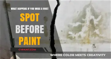 Consequences of Overlooking Rust Spots Before Painting Your Vehicle