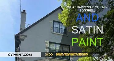 Exploring the Unique Blend of Eggshell and Satin Paint