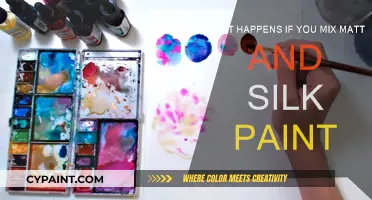 Combining Matt and Silk Paint: Exploring the Outcome
