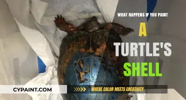 The Dangers of Painting a Turtle's Shell