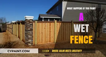 Painting a Wet Fence: Risks, Consequences, and Proper Drying Techniques