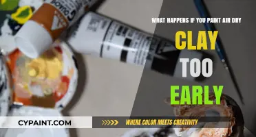 Premature Painting Pitfalls: Air-Dry Clay's Early Coat Conundrum
