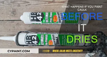 Caulk Painting: Wet vs Dry — What's the Difference?
