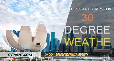 Painting in Hot Weather: What You Need to Know