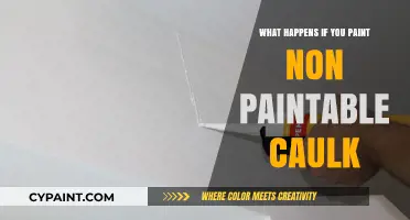 Painting Non-Paintable Caulk: Risks, Consequences, and Better Alternatives