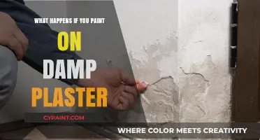 Painting on Damp Plaster: Risks, Consequences, and Proper Drying Techniques