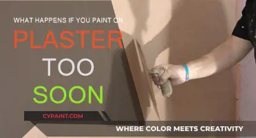 Don't Paint Plaster Too Soon: Here's Why