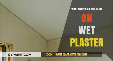 Painting on Wet Plaster: Risks, Consequences, and Best Practices Explained