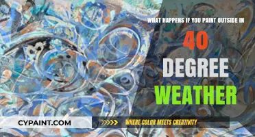 Chilling Creativity: Painting in 40 Degrees - A Bold Adventure