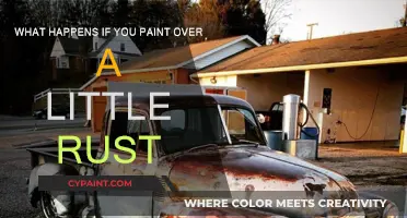 Rusty Surfaces: Painting Over, What to Expect?