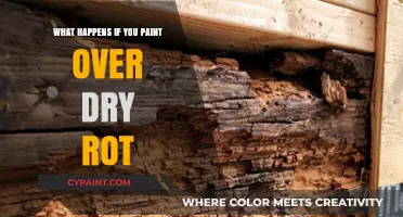 Painting Over Dry Rot: Risks, Consequences, and Proper Repair Methods