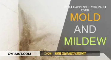 Mold and Mildew: Painting Over or Removing?