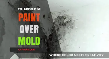 Painting Over Mold: Risks, Consequences, and Proper Remediation Steps
