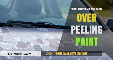 Painting Over Peeling Paint: Risks, Consequences, and Proper Solutions