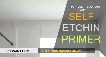 Primer Problems: Painting Over Self-Etching Primer