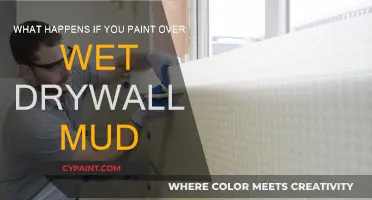 Painting Over Wet Drywall Mud: What You Need to Know