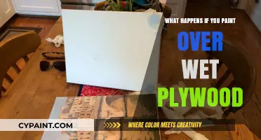 Painting Over Wet Plywood: Risks, Consequences, and Proper Drying Techniques