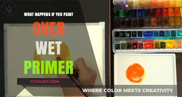 Painting Over Wet Primer: Risks, Consequences, and How to Avoid Disaster