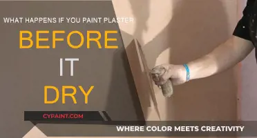 Why You Should Never Paint Wet Plaster