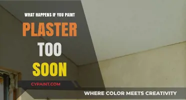 Painting Plaster Prematurely: Risks, Cracks, and How to Avoid Disaster