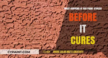 Stucco Painting: Curing Process and Potential Pitfalls