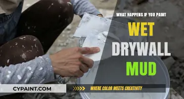 Painting Wet Drywall Mud: Risks, Consequences, and Proper Drying Techniques