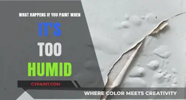 Humidity and Hues: The Impact of Moisture on Your Paint Job