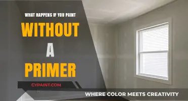 Skipping Primer: Risks and Consequences of Painting Directly on Surfaces