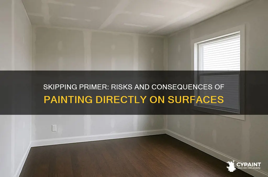 what happens if you paint without a primer
