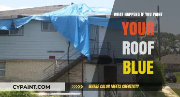 Blue Roofs: Surprising Effects of Painting Your Roof Blue