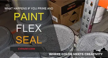 Flex Seal: Prime, Paint, and Transform