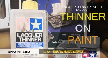 Exploring Lacquer Thinner and Paint: A Dangerous Mix?