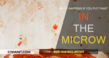 Microwaving Paint: What Could Go Wrong?
