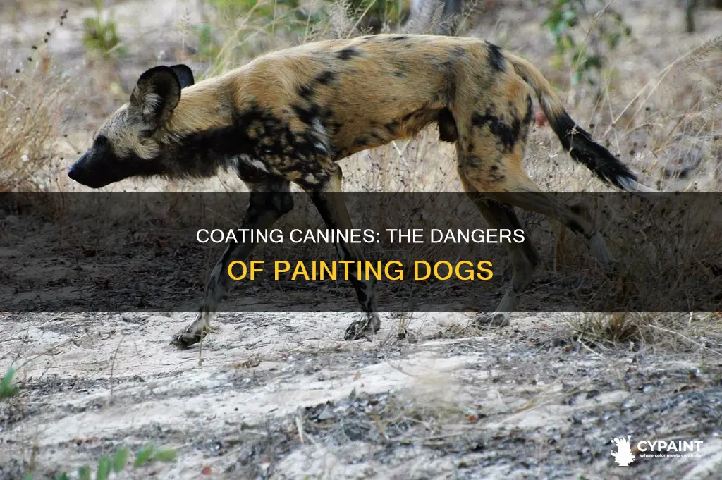 what happens if you put paint on a dog