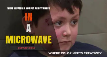 Microwave Mishaps: The Perilous Paint Thinner Experiment
