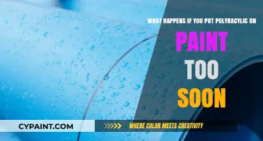 Early Polyurethane Application: Risks and Consequences for Paint Surfaces