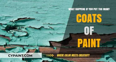 Overpainting Pitfalls: When Too Many Coats Spell Disaster