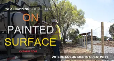 Gas Spill on Paint: What to Do?
